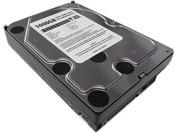 White Label 1TB 32MB Cache 7200RPM SATA300 Hard Drive Brand New- w/ 1 yr warranty